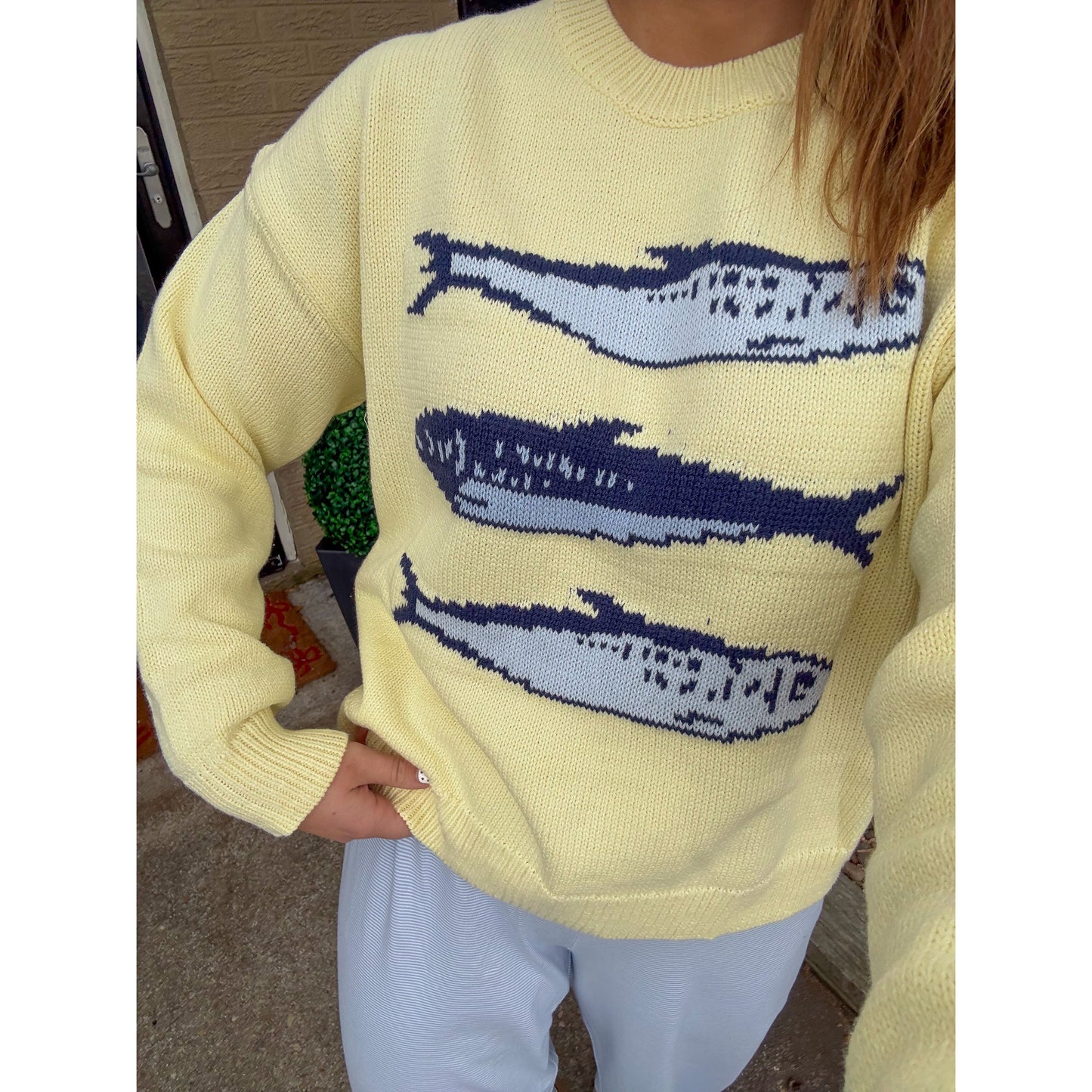 Sardine Graphic Knit Sweater, Butter Yellow