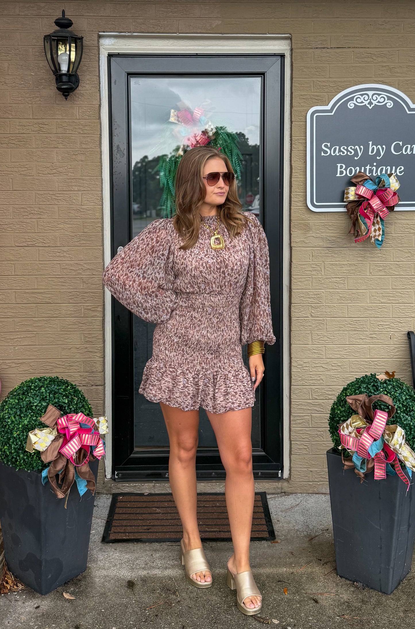 Parker Detail Mini Dress, Brown Multi
