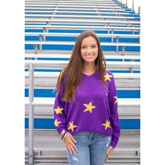 Purple/Gold Star Sweater