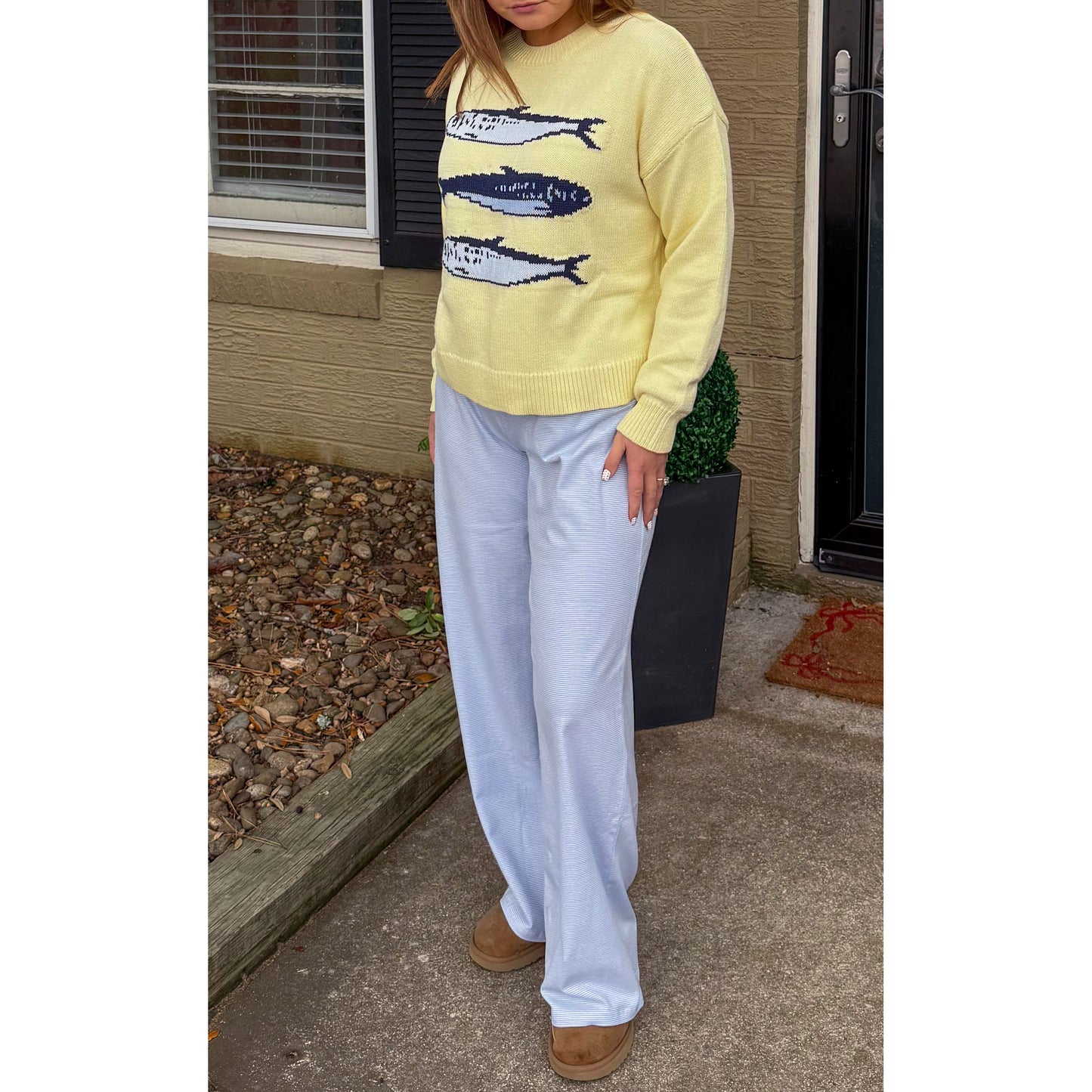 Sardine Graphic Knit Sweater, Butter Yellow