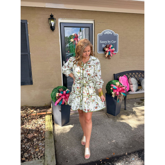 Ainsley Floral Mini Dress, Ivory Multi