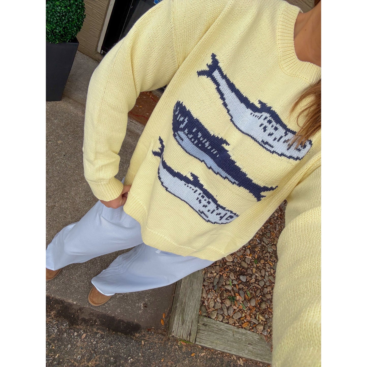 Sardine Graphic Knit Sweater, Butter Yellow