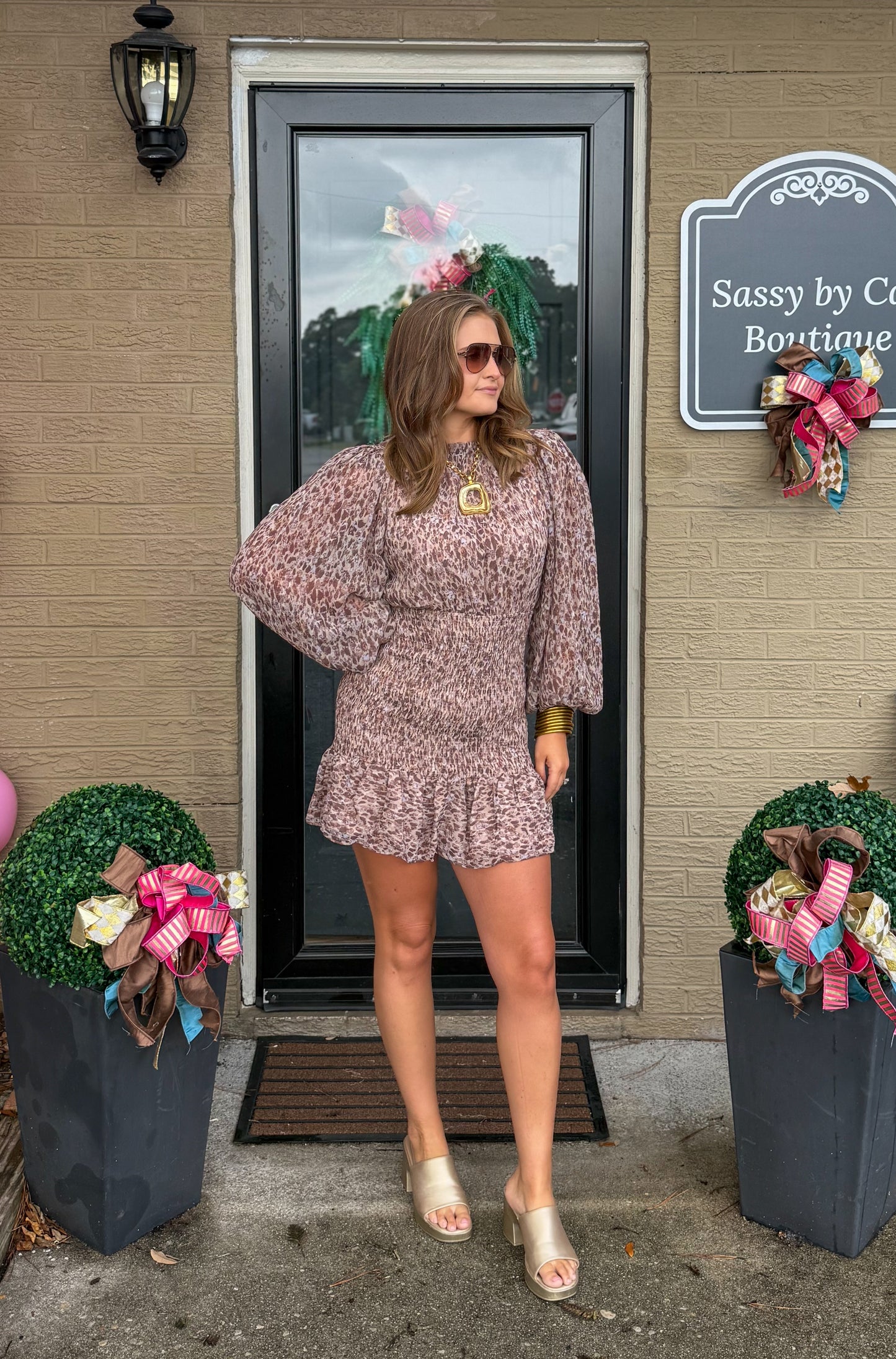 Parker Detail Mini Dress, Brown Multi