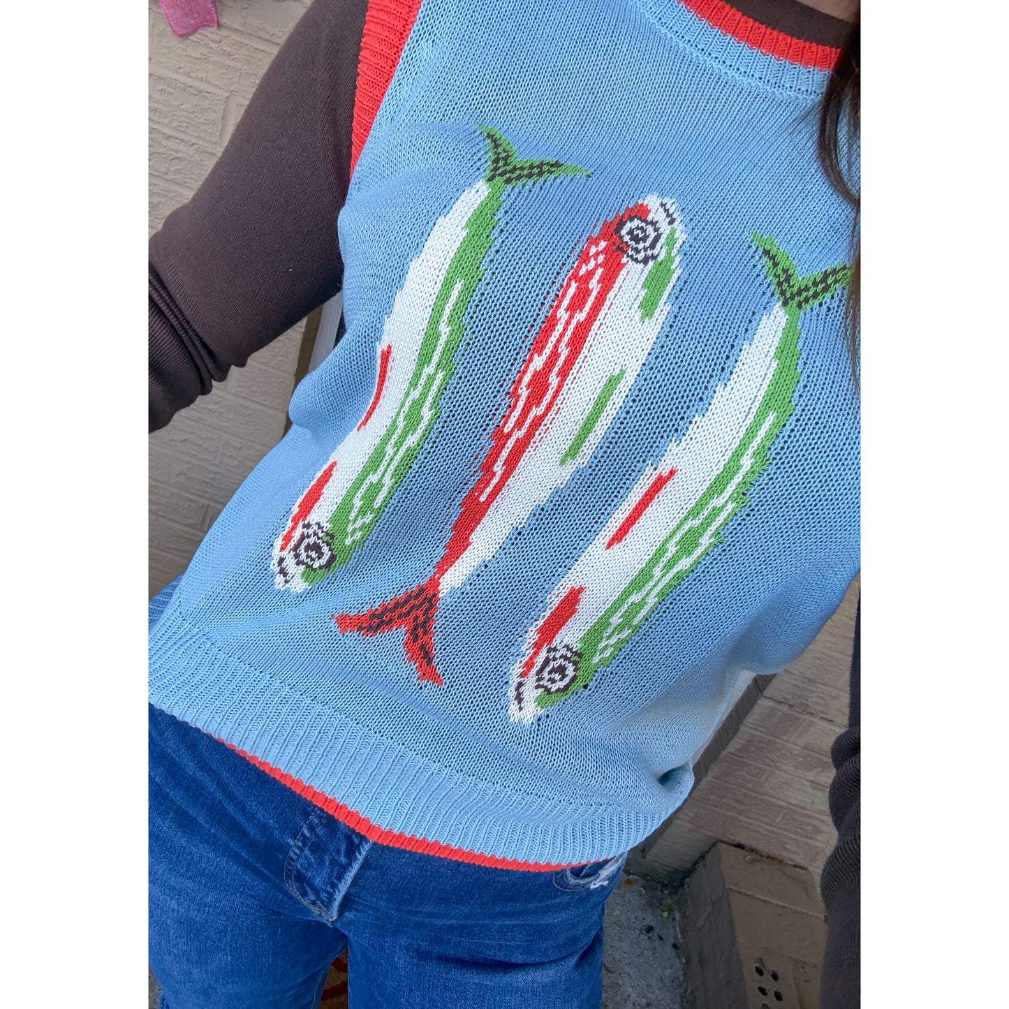 Fish Graphic Sweater Vest, Multi
