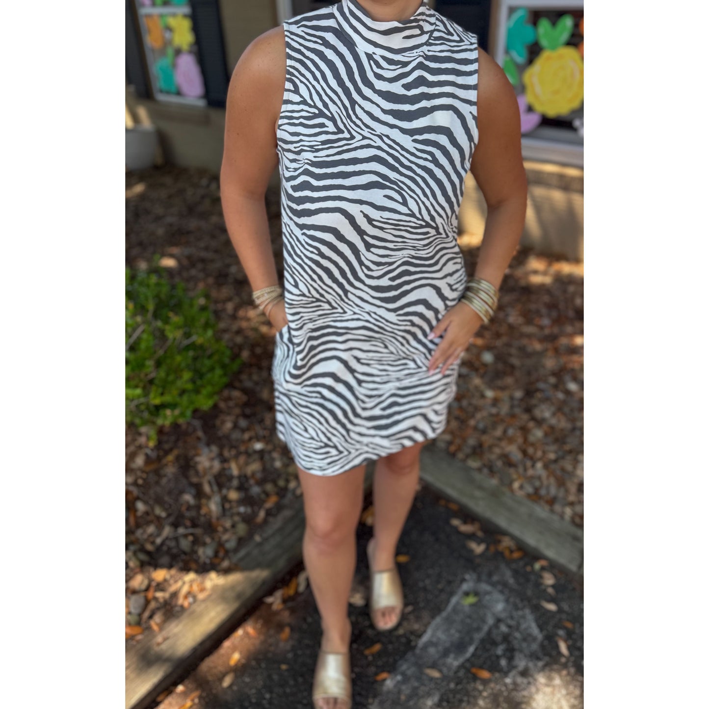 Zebra Mini Dress, Black/White