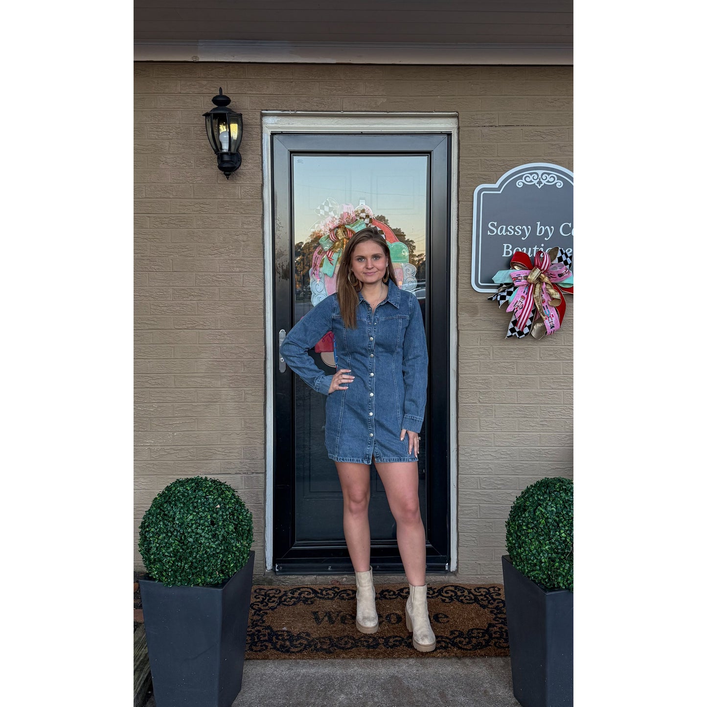 Denim Mini Dress